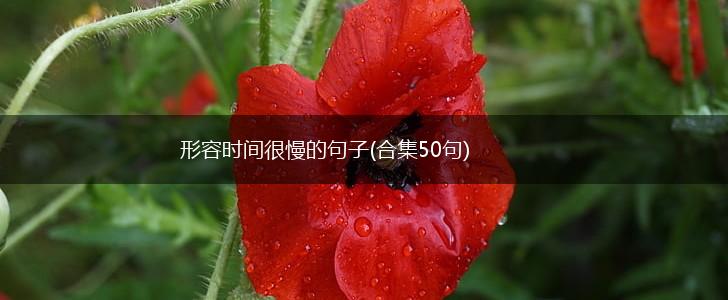 形容时间很慢的句子(合集50句),第1张