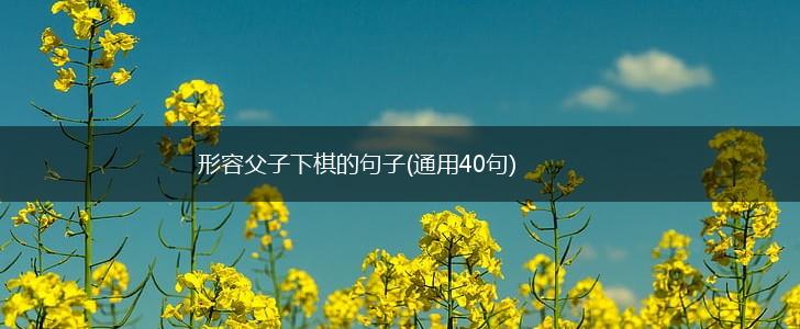 形容父子下棋的句子(通用40句),第1张 形容父子下棋的句子(通用40句),第1张