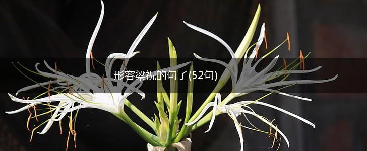 形容梁祝的句子(52句),第1张