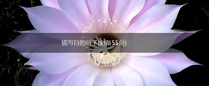 描写日的句子(必备55句),第1张