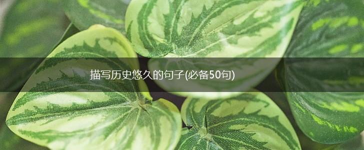 描写历史悠久的句子(必备50句),第1张
