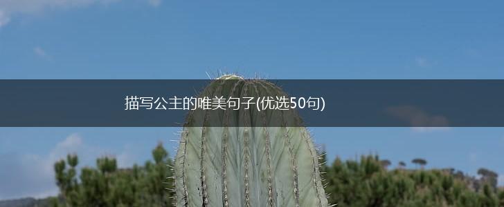 描写公主的唯美句子(优选50句),第1张