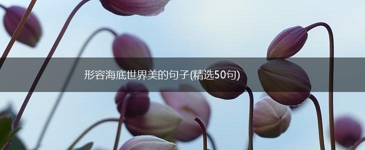 形容海底世界美的句子(精选50句),第1张
