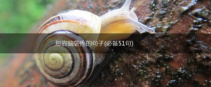 形容脑袋疼的句子(必备51句),第1张