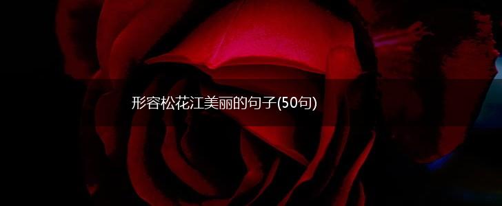 形容松花江美丽的句子(50句),第1张