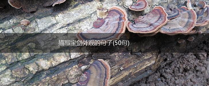 描写宝剑外观的句子(50句),第1张