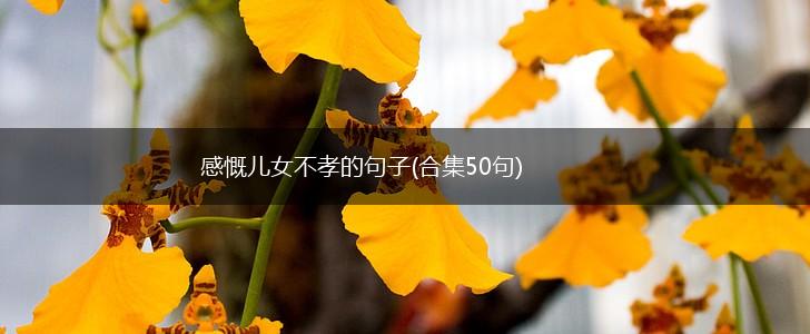 感慨儿女不孝的句子(合集50句),第1张