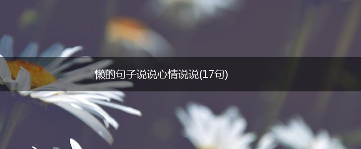 懒的句子说说心情说说(17句),第1张
