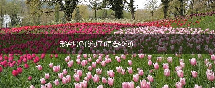 形容烤鱼的句子(精选40句),第1张