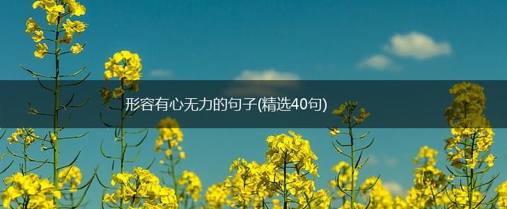 形容有心无力的句子(精选40句),第1张