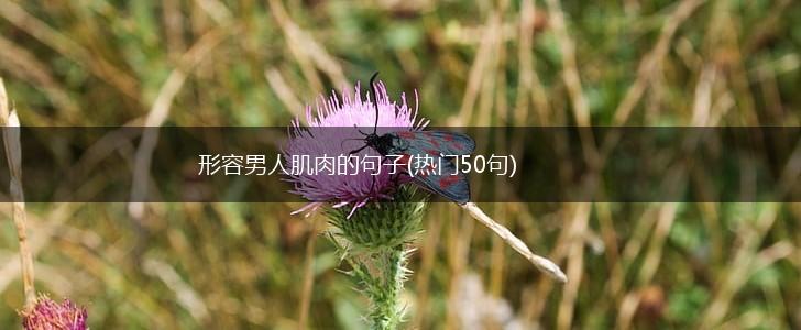 形容男人肌肉的句子(热门50句),第1张