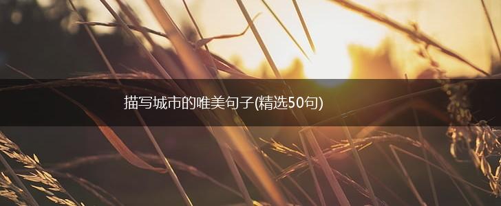 描写城市的唯美句子(精选50句),第1张