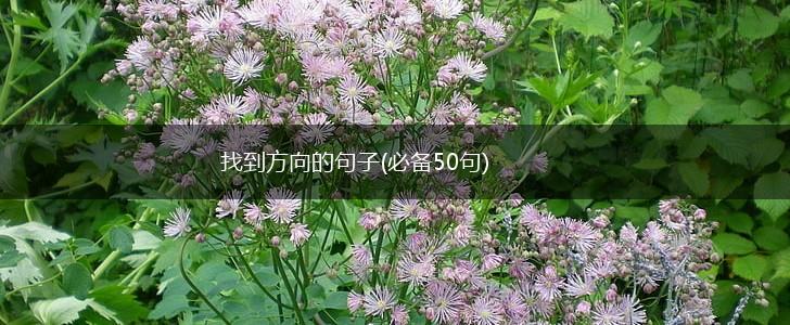 找到方向的句子(必备50句),第1张