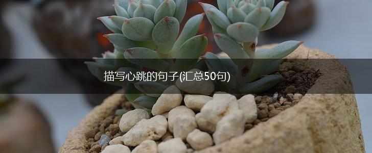 描写心跳的句子(汇总50句),第1张