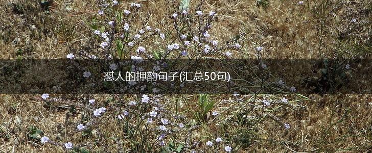 怼人的押韵句子(汇总50句),第1张