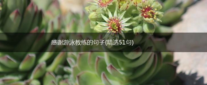 感谢游泳教练的句子(精选51句),第1张