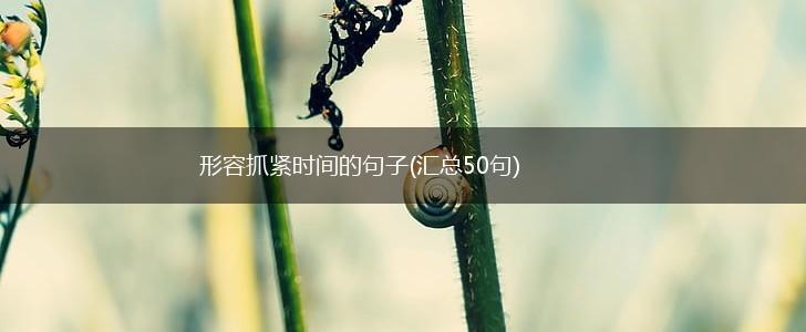 形容抓紧时间的句子(汇总50句),第1张