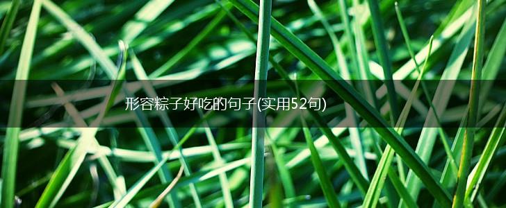 形容粽子好吃的句子(实用52句),第1张
