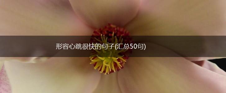 形容心跳很快的句子(汇总50句),第1张 形容心跳很快的句子(汇总50句),第1张