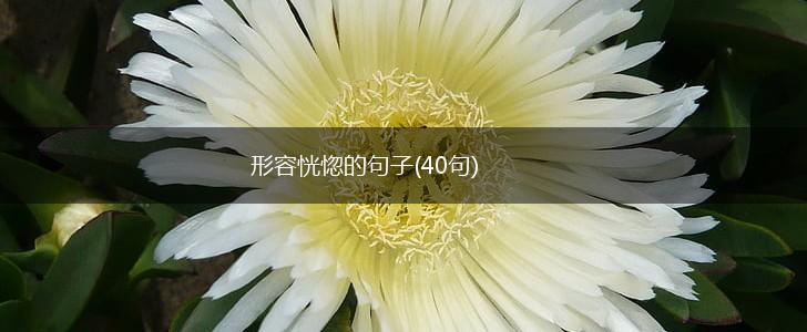 形容恍惚的句子(40句),第1张
