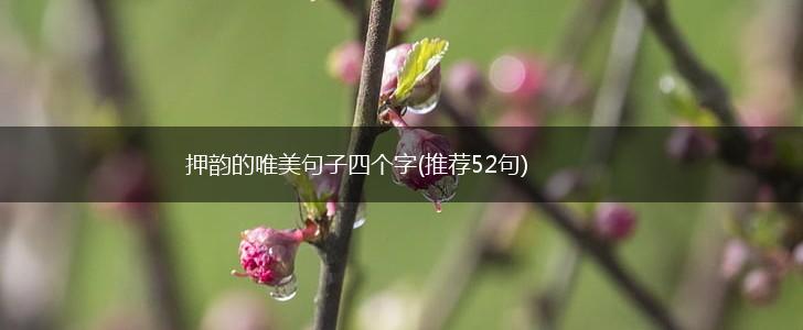 押韵的唯美句子四个字(推荐52句),第1张