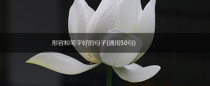 形容粉笔字好的句子(通用50句),第1张