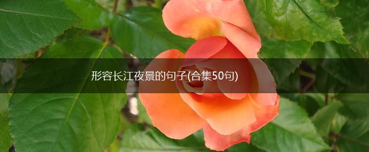 形容长江夜景的句子(合集50句),第1张