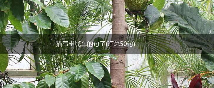 描写坐缆车的句子(汇总50句),第1张