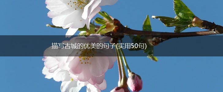 描写古城的优美的句子(实用50句),第1张