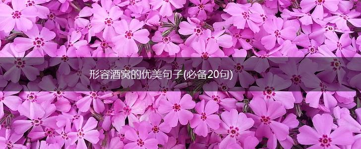 形容酒窝的优美句子(必备20句),第1张