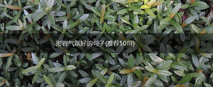 形容气氛好的句子(推荐50句),第1张