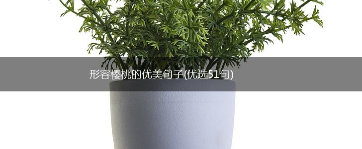 形容樱桃的优美句子(优选51句),第1张