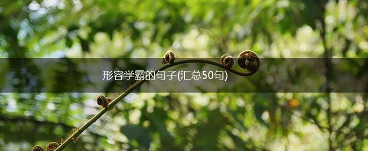 形容学霸的句子(汇总50句),第1张