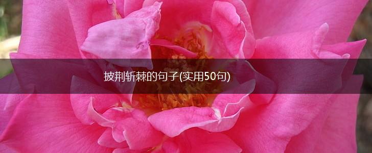 披荆斩棘的句子(实用50句),第1张