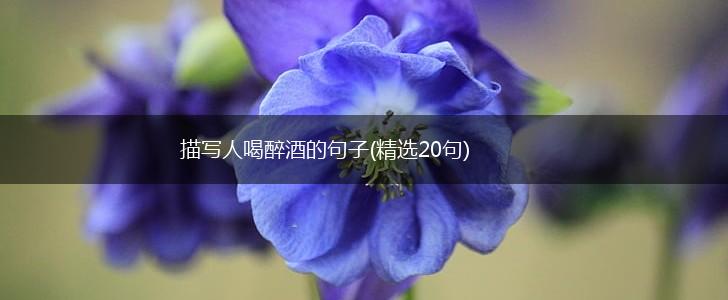 描写人喝醉酒的句子(精选20句),第1张