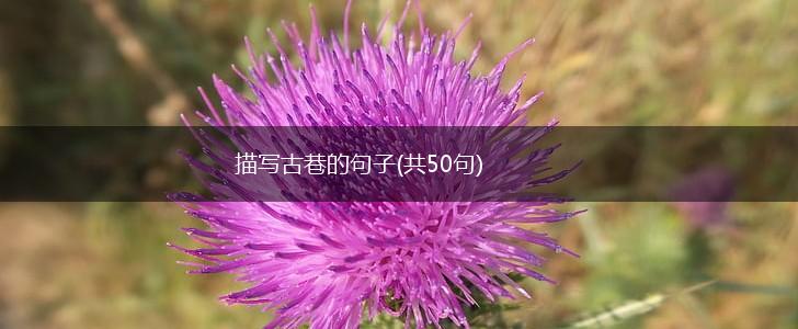 描写古巷的句子(共50句),第1张