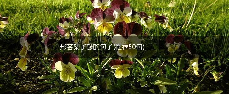 形容架子鼓的句子(推荐50句),第1张