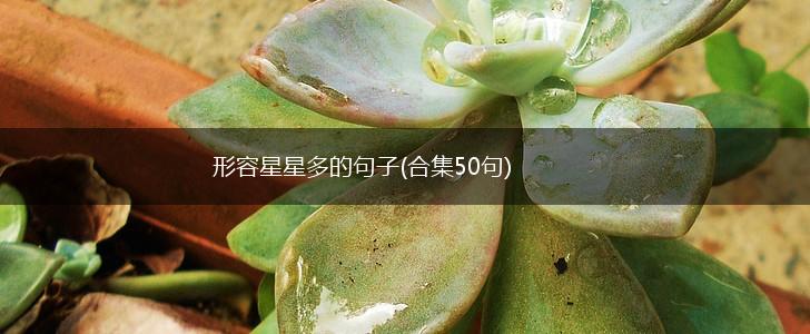 形容星星多的句子(合集50句),第1张