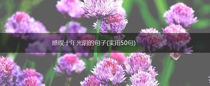 感叹十年光阴的句子(实用50句),第1张