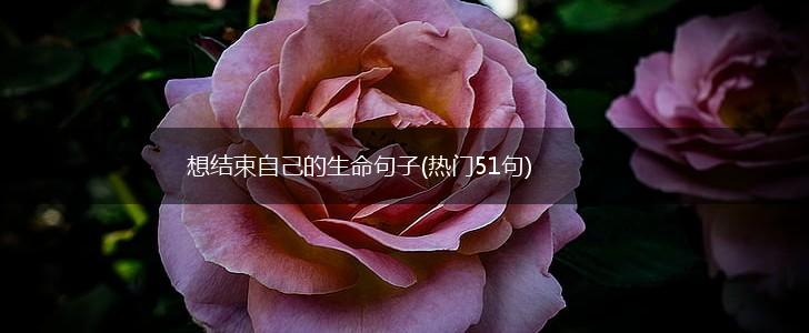想结束自己的生命句子(热门51句),第1张