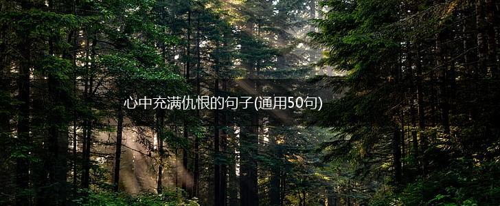 心中充满仇恨的句子(通用50句),第1张