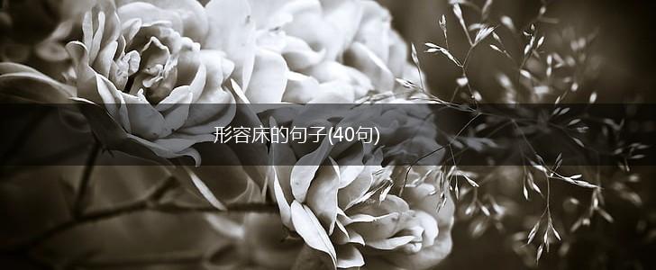 形容床的句子(40句),第1张