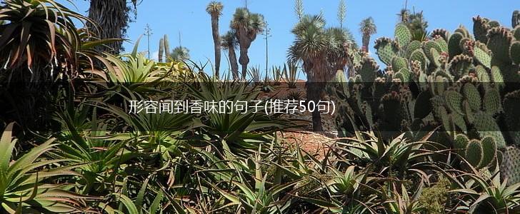 形容闻到香味的句子(推荐50句),第1张