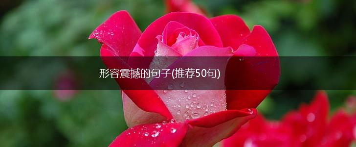 形容震撼的句子(推荐50句),第1张 形容震撼的句子(推荐50句),第1张