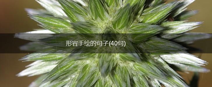 形容手绘的句子(40句),第1张