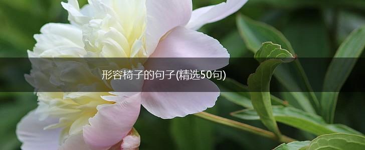 形容椅子的句子(精选50句),第1张