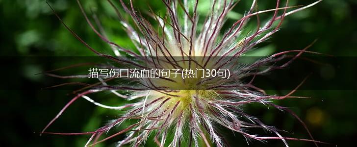 描写伤口流血的句子(热门30句),第1张