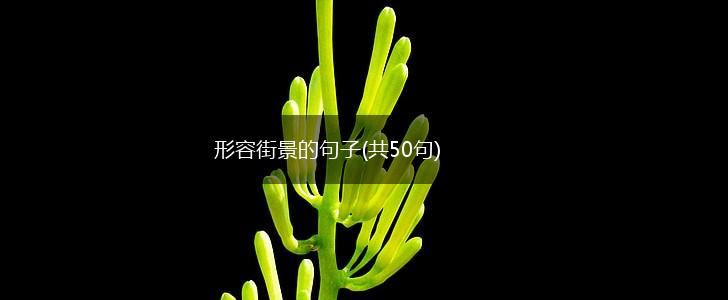 形容街景的句子(共50句),第1张