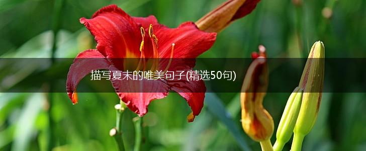 描写夏末的唯美句子(精选50句),第1张