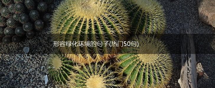 形容绿化环境的句子(热门50句),第1张